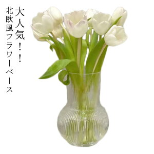 �t�����[�x�[�X �C���X�^ �k�� �N���A �ԕr ���j�� �k���� �C���e���A ��l�C ������� �K���X �ԕr �V���v�� �k���C���e���A �i�`������ �C�O�C���e���A �v���[���g �M�t�g �Ԋ�