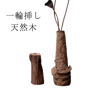 ドライフラワー 木の人気商品 通販 価格比較 価格 Com