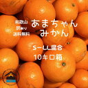 あまちゃん 訳ありみかん 10キロ箱 S〜LL混合 送料無料 みかん 和歌山 有田みかん 下津みかん 産地直送 ご家庭用 ミカ…