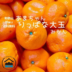 ܂ 󂠂݂  10Li9LOj 3L4L  ݂ a̎R Lc݂ Â݂ Yn ƒp ~J  ɑ 瑁  t[c