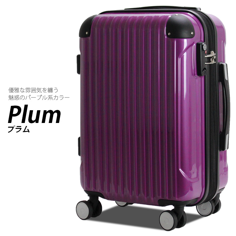 楽天市場】スーツケース 機内持ち込み 小型 Sサイズ 軽量 双輪キャリー 