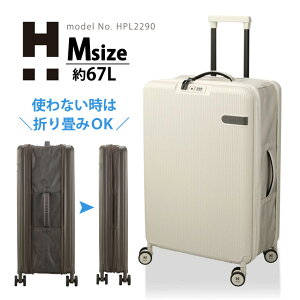 ns^XvX 67cm HPL2290-M