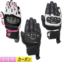 楽天市場】グローブ アルパインスター カーボンの通販