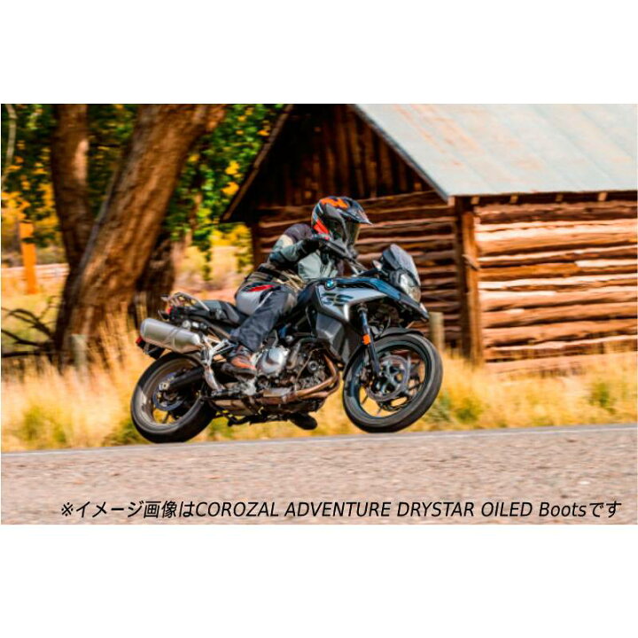 楽天市場】＼全品P5倍☆3/30(日)限定／Alpinestars アルパインスターズ 