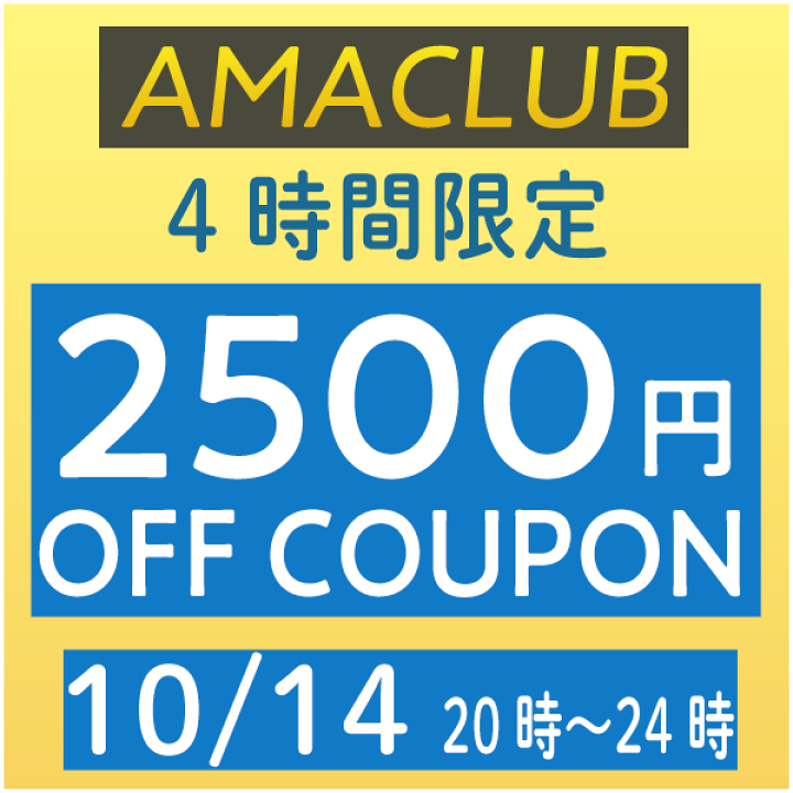 楽天市場】＼全品2500円ｸｰﾎﾝﾟ☆20時〜10/14限定／Troy Lee