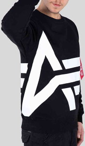 _SiP5{9/25()^y3XL܂ŁzAlpha Industries At@EC_Xg[Y Side Logo vI[o[ CfBOWPbg C_[ oCN c[O JWAɂ  傫