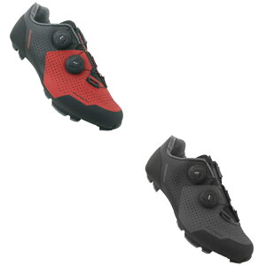 _Si5000~N[|12/1() Gg[^MASSI Proteam Carbon ]ԃV[Y TCNOV[Y }EeoCNV[Y [hoCN TCNO MTB C AEghAɂ  