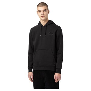 _Si1000~OFF11/27i)BtCf[@^Dickies fBbL[Y Camden Box Hoodie CfBOWPbg oCNEFA t[fB C_[ oCN c[O JWA AEghA ɂ (AMAC