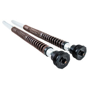 _Si5000~N[|12/1() Gg[^Ohlins FKA Adventure FKA 114 Cartridge Kit Yamaha XT700 Tenere 19-20 J[gbW Lbg }n oCNp[c JX^p[c oCNANZT[ I[goC o