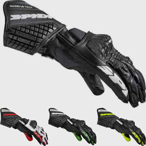 _Si1000~N[z{12/8i)^Spidi Xs[fB[ Carbo 5 CfBOO[u C_[ oCN c[Oɂ  AEgbg (AMACLUB)