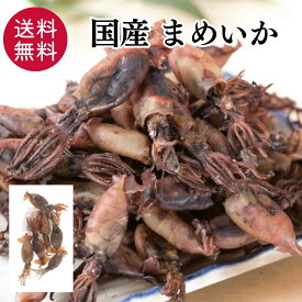 国産 まめいか 55g おつまみ 珍味 酒の肴 つまみ いかの煮干し いか イカ 晩酌 家飲み 宅飲み ビール 日本酒 焼酎 お酒 プレゼント ギフト 海鮮 グルメ 1000円ポッキリ 買い回り ポイント消化 送料無料 【日本海珍味 さとも屋】