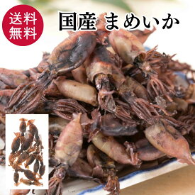 国産 まめいか 100g おつまみ 珍味 酒の肴 つまみ いかの煮干し いか イカ 晩酌 家飲み 宅飲み ビール 日本酒 焼酎 お酒 プレゼント ギフト 海鮮 グルメ 買い回り ポイント消化 送料無料 【日本海珍味 さとも屋】