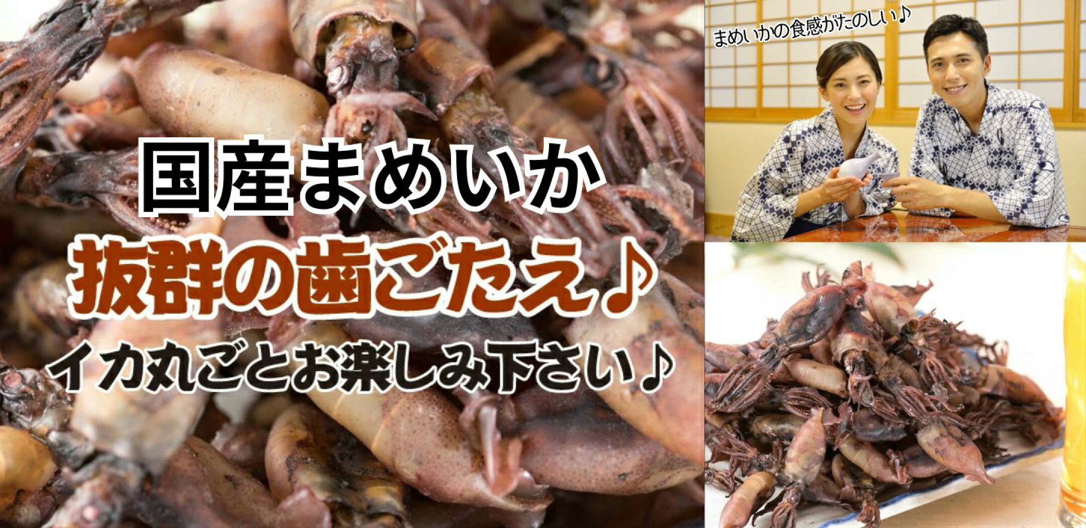 いか イカ 珍味 おつまみ まめいか 国産