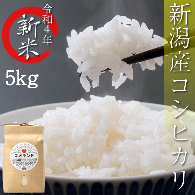 新米 美味しいお米 令和4年 5kg 白米 コシヒカリ 埼玉県産 送料無料
