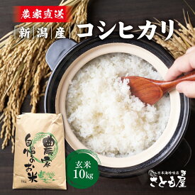 【500円OFFクーポン出現中】令和7年産 玄米 新潟県産 コシヒカリ 10kg ×1袋 米 新潟産 送料無料 こしひかり 産地直送 白米 精米 新潟 お米 新潟県産 国産 新潟産こしひかり コシヒカリ こめ コメ ギフト おいしい 冷めてもおいしい おにぎり