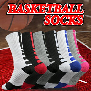 y19܂500~N[|z yVLO1ʊl X|[c\bNX y21-24cmzIׂ铯F3SET Y fB[X LbY oXP \bNX q oXPbg C  ^ X|[c 싅 E