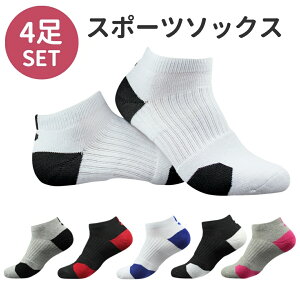 y19܂500~N[|z X|[c\bNX y4Zbgz24.5-27.5cm BIG 28-30cm IׂJ[ Y oXP V[g\bNX C \bNX X|[c W oXPbg   o[