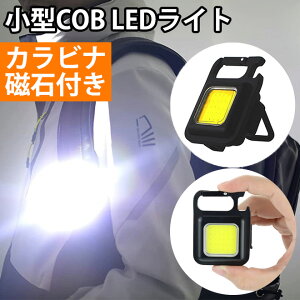 y}\1000~zLED Cg [d Jri Εt 4iK ^  COB AEghA Lv oR USB ^CvC TCNO ^ X|[c ނ Ɠ Ɩ ^ RpNg 