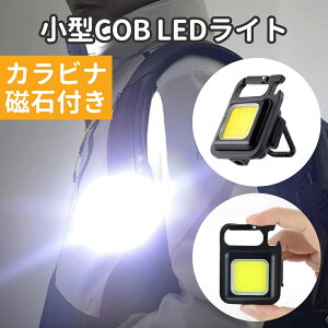 COB LED Cg JriΕt 4iK[d ^  AEghA Lv oR USB ^CvC TCNO ^ X|[c ނ Ɠ Ɩ ^ RpNg d nk h hЃCg