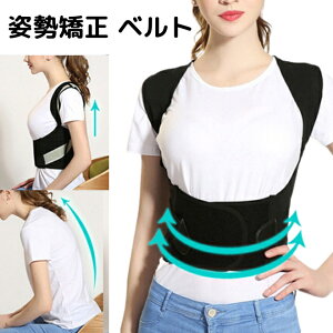 y27܂P10{z pxg jp Lw p M-XXL P xg T|[^[ Lw␳ w  ɂ ␳xg ␳  fXN[N PC Ǐ X}z fB[X Y 