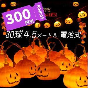 _300~OFFs^[amaletPlay] nEB  J{` ledCg  dr 30 4.5m h pvL LED C~l[V d O  ڂ