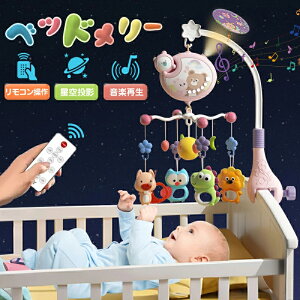 xbh[ A[ xr[J[[ IS[ u 芪 xr[ [ [r e@\ 360°] R Ԃ  QpQ CeA qpQ 