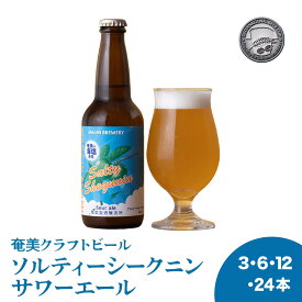 【ソルティーシークニンサワーエール】海塩 シークワーサー シークニン クラフトビール 奄美 沖縄 徳之島 鹿児島 九州 奄美大島 地ビール ビール ノビレチン タンゲレチン ヘスペリジン ビタミン ビタミンC ポリフェノール 血糖値 抗酸化 抗炎症 抗アレルギー 血圧 関節炎