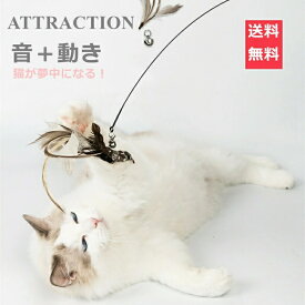 天然羽根 送料無料 猫の大好物 猫のおもちゃ 猫じゃらし 人気 ペット用品 猫おもちゃ 釣り竿 ねこじゃらし ストレス解消 じゃれ猫