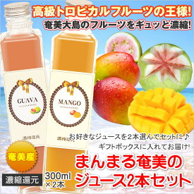 フルーツジュース セット まんまる奄美 ジュース300ml×2本 マンゴー パッションフルーツ グアバ たんかん すもも ギフト ジュース 奄美大島 お土産