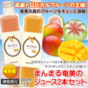 t[cW[X Zbg ܂܂鉂 W[X300ml×2{ }S[ pbVt[c OAo 񂩂  Mtg W[X 哇 yY