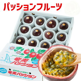 パッションフルーツ 12個入り ギフト 贈答用 御中元 時計草 奄美大島パッション