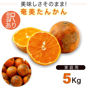 哇 󂠂 񂩂 ^J ݂ ƒp 5kg TCY󂠂肽񂩂