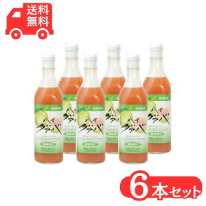 OAoW[X hHi 500ml×6{ t[cW[X ZkҌOAo O@o ʎW[X W[X Mtg 䒆 j