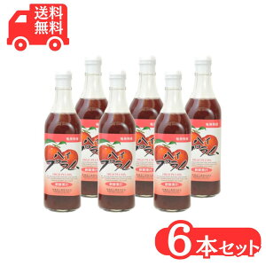 vW[X500ml×6{ hHi  X Ղ v W[X Mtg 哇