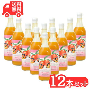 }S[W[X500ml×12{ }S[ ZkҌ hHi 1P[XʎW[X t[cW[X Mtg 䒆 j 哇