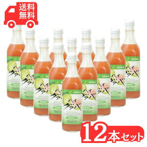 OAoW[X hHi 500ml×12{ t[cW[X ZkҌOAo O@o ʎW[X W[X Mtg