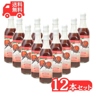 vW[X 500ml×12{ 1P[X hHi  X Ղ v W[X Mtg 哇