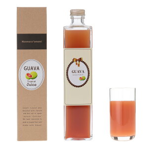 哇 W[X ܂܂鉂 OAoW[X 500ml  yY 哇