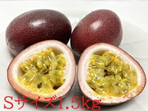 楽天市場】パッションフルーツ 訳あり（フルーツ・果物｜食品）の通販