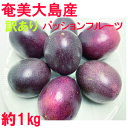 奄美大島産　パッションフルーツ　約1kg　（10玉〜14玉入り） C級品　ご家庭用　【訳あり　傷あり　色ムラあり　不揃…