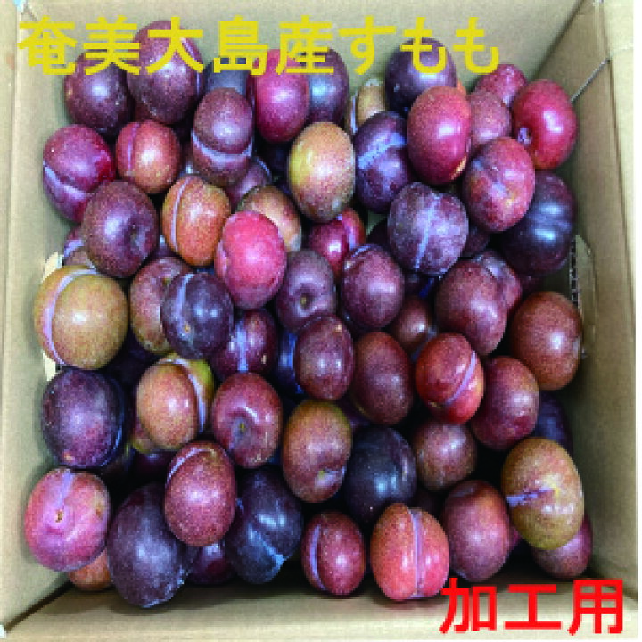楽天市場】奄美大島産 すもも プラム 約2.5kg 加工用（C級品） ご家庭 