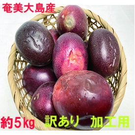 奄美大島産　パッションフルーツ　約5kg　加工用　訳あり【色ムラ、キズ、病根、シワあり、不揃い】　送料無料 （東北・北海道・沖縄+500円）