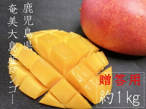 �����哇�Y�@�}���S�[�@��1kg�@���ʁ@2�`3�ʓ��� �����p�@���ϔ�����@�������� �i���k�E�k�C���E����+500�~�j�①��