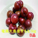 奄美大島産　すもも　プラム　約1kg　B級品　ご家庭用　M、L　混合サイズ（小中玉）花螺李（がらり／からり）【訳あり…