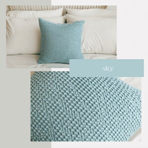 y _[ NbVJo[ z ؍ Rbg100 NbVJo[ Vv _[ n NbV g 45×45  􂦂 C NbVJo[ 45×45cm 킢 ӂ