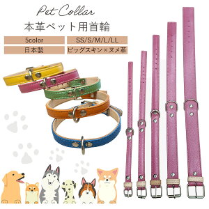 yz {v p MTCY ^ ^p Jt ^bN sbOXL kvgp {by 