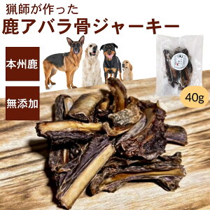 yY SYz AoW[L[ p  f^PA ^ ^Ή ޗǌY{Bgp XgX