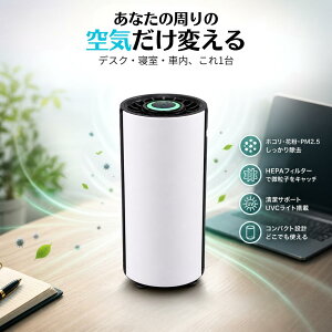 �y���� �ԓ� ������������m �}�C�i�X�C�I����C����@�z �@��C����@ ���^ ��� �ԍ� USB���d HEPA�t�B���^�[ UVC���� �}�C�i�X�C�I�� �R���p�N�g �É� �������m �ԕ� PM2.5 �z�R�� �E�L �f�X�N