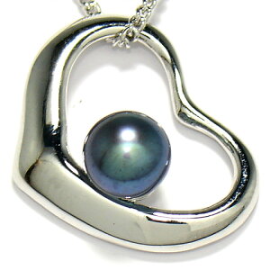 p[ ^ lbNX W I[v n[g  y_g Vo[925 silver925 sv925