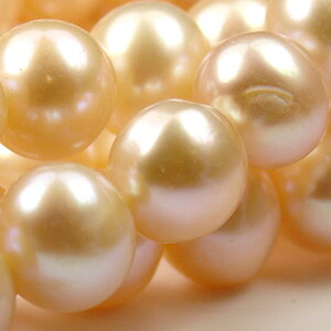 p[ ^ W |eg^ 6.5-7mm IW A ANZT[ p[c
